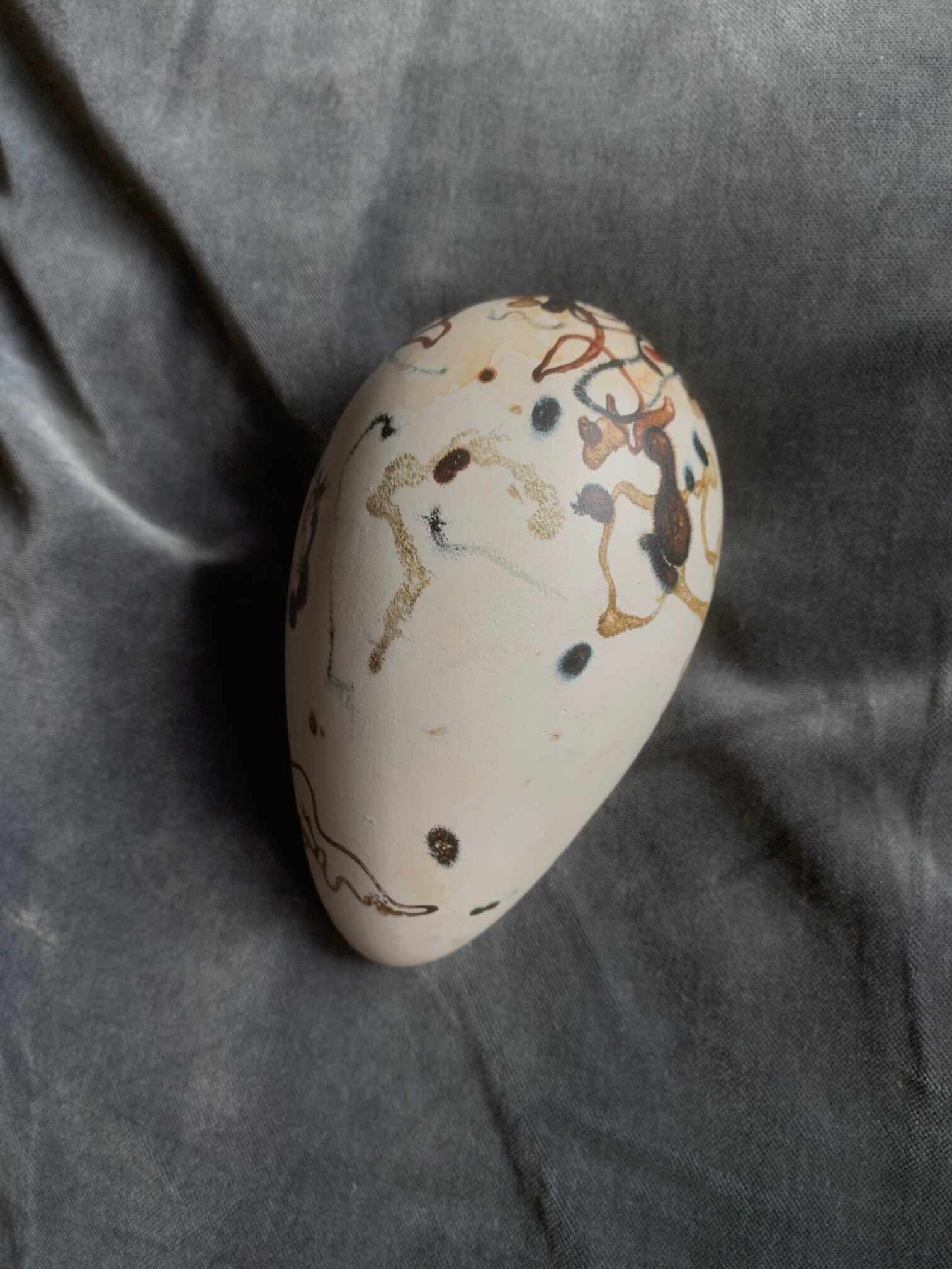 Great Auk Egg (un-cased) - Image 12