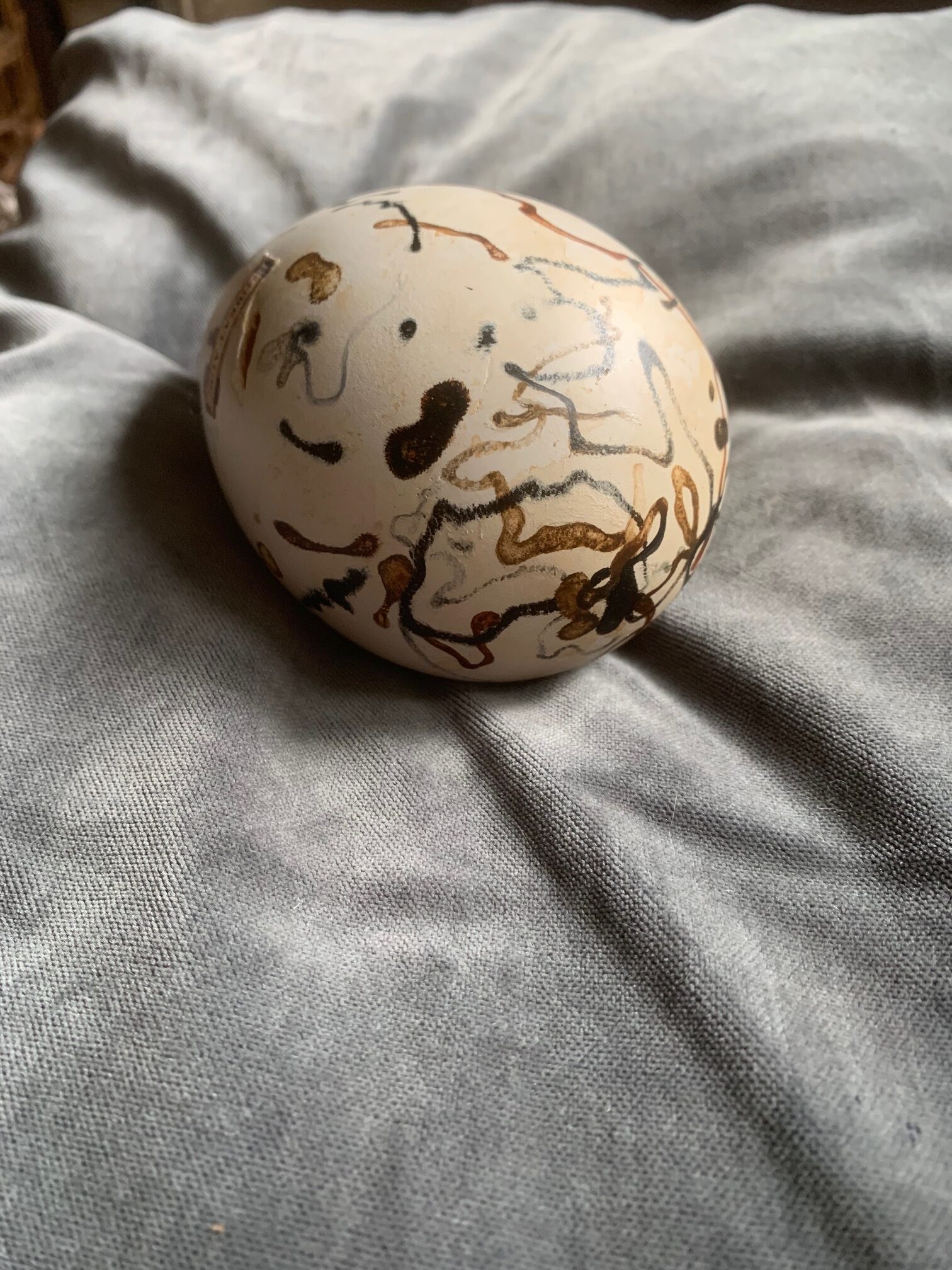 Great Auk Egg (un-cased) - Image 19