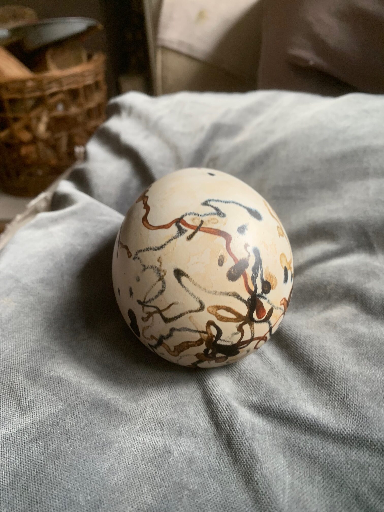 Great Auk Egg (un-cased) - Image 18