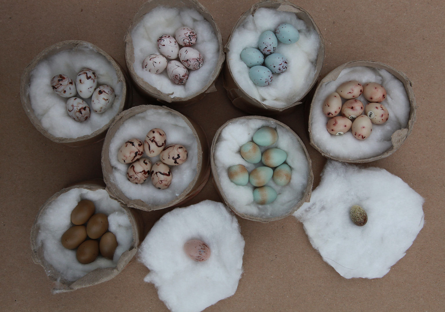 NEW British Birds egg Clutches Tony Ladd Art